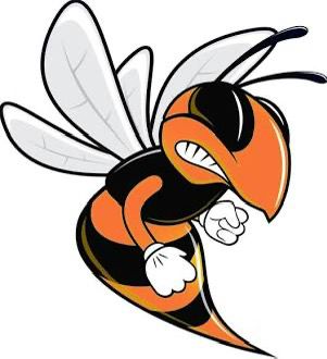 Hilcrest Hornets