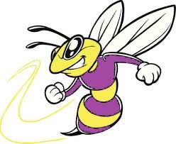 Emerson Yellow Jackets